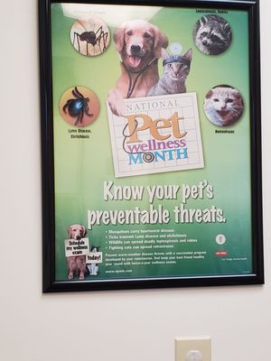 Pet wellness month