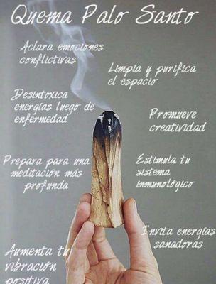 Uses of Palo Santo ( Holy Wood)