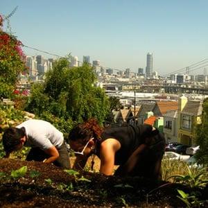 Urban Agriculture in San Francisco