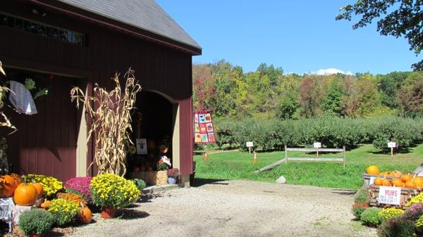 High Springs Orchard