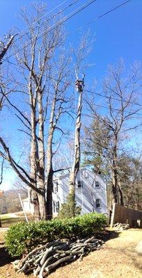 Tree removal over power lines