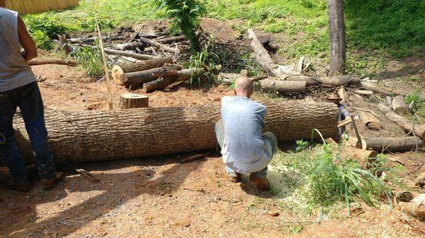 Advanced Tree Service