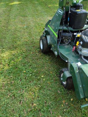 Lawn Aeration