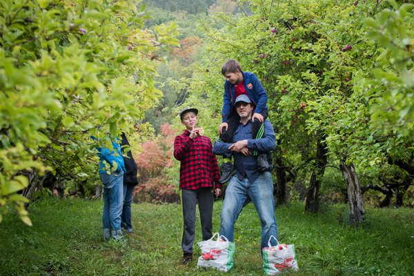 Come and pick your own apples!