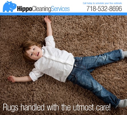 Hippo Cleaning Services