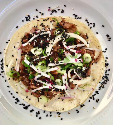 Skirt Steak Taco with sesame seeds