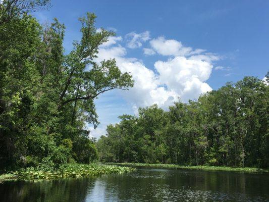 Black Creek, Green Cove Springs