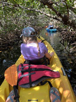 Navigating the mangroves