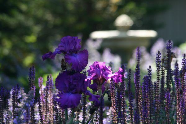 Flowers and fountain at Cedars of Edina