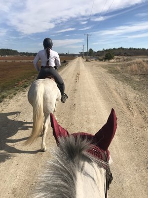 One of the best trail rides I've gone on!