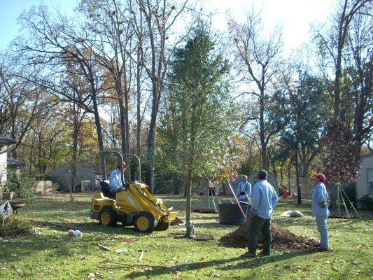 McKee Tree Service