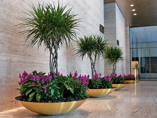 Interior Plant Services