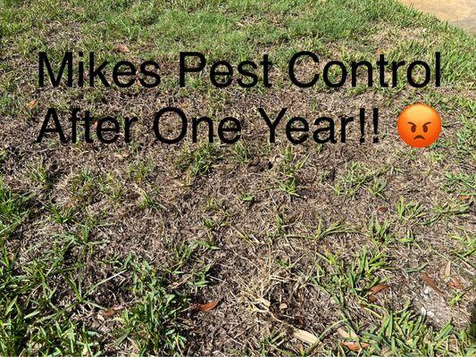 Mike's Pest Control-Michael Poole PHD