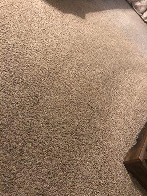 Carpet