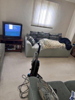 Carpet cleaning finish