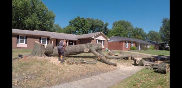 Top Notch Tree Service