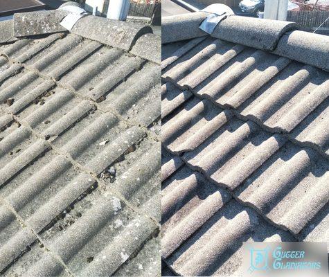 Asphalt, metal, tile - no matter what kind of roof you have, we can clean and treat it, so that pesky moss goes away and STAYS away!