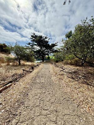 The hike up the path to the cafe