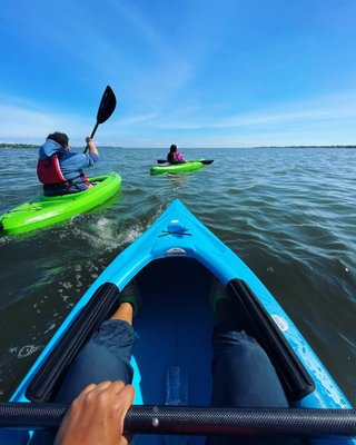 Kayak rentals