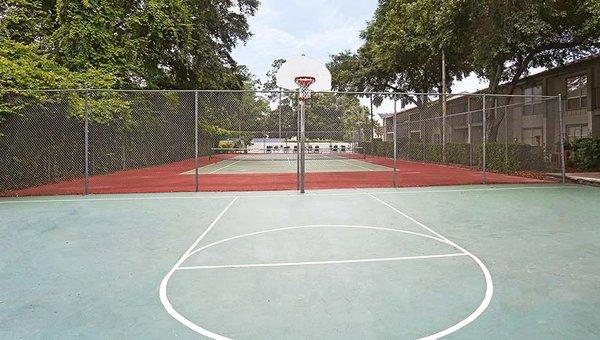 Basketball Court