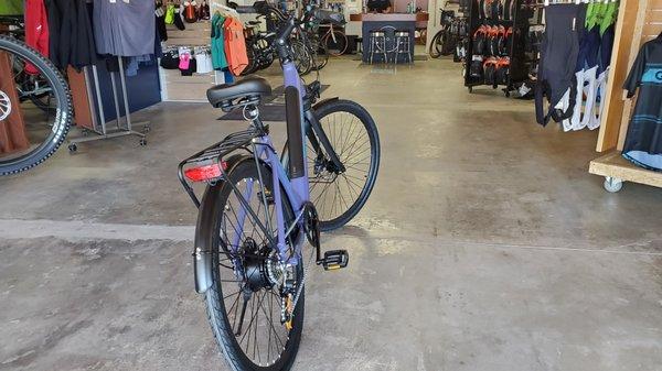 Low Step Geared Hub drive.   $1599