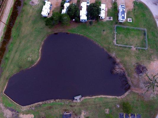 Middle Pond and Dog Park