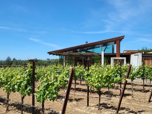 Tasting room