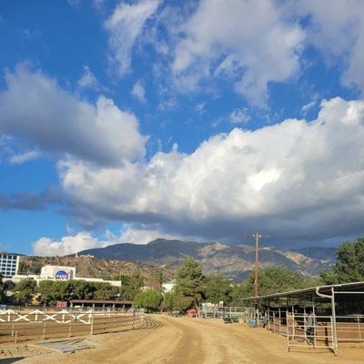 A beautiful day at this lovely barn.