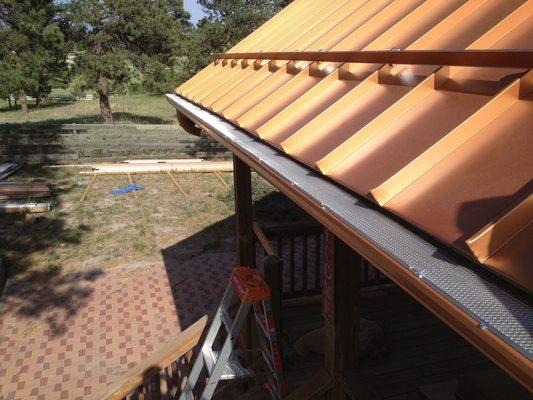 Gutter Screen installed in Parker, CO