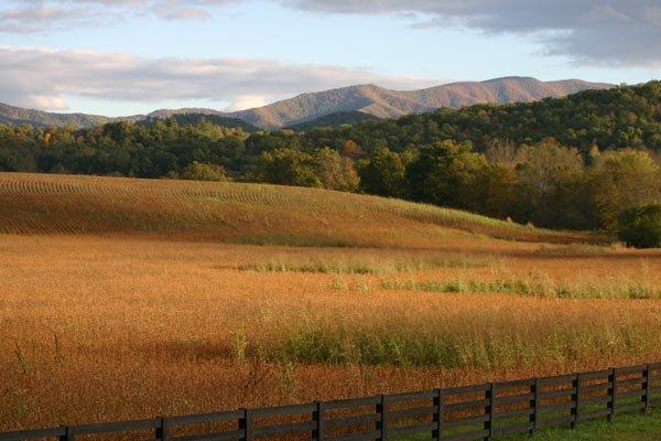 Mountain farms in Hayesville NC