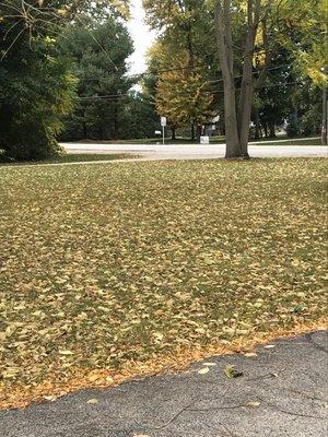 Leaf cleanup 10-17-20 in Elkhart off Jackson the before!!