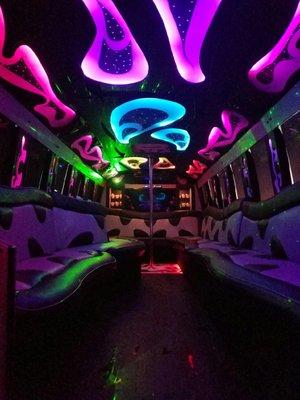 30 Pax Party Bus