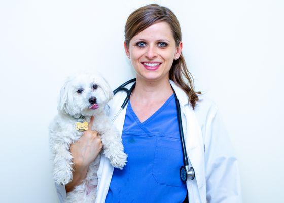 Welsome our newest Vet Dr. Kristy Moding!