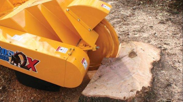 Stump Grinding