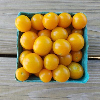 Sungold cherry tomatoes are the sweetest!