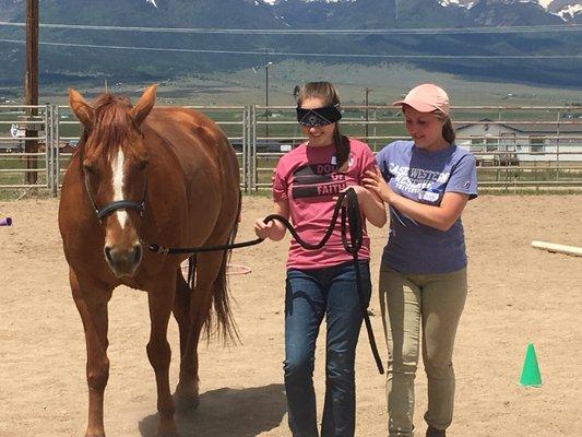 Equine Assisted Therapy with Teens.
An exercise in trust and communication skills