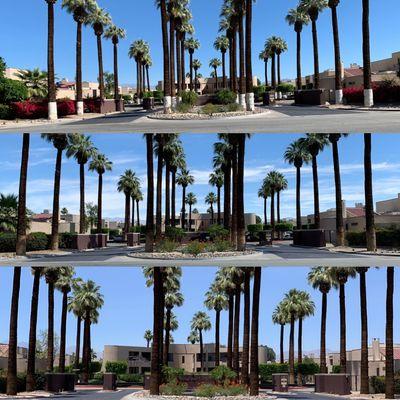 Three photos from start to finish. The Raquet club palm springs.