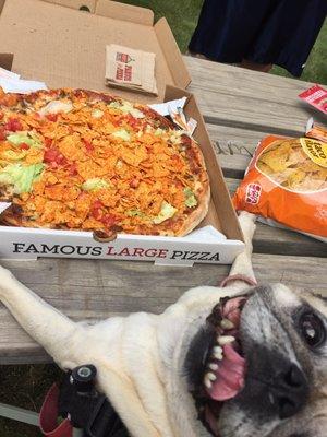 Taco Pizza and pug