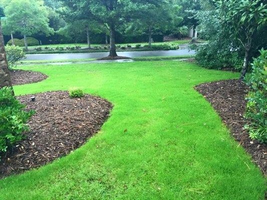 Grand Dunes Landscape and Maintenance lawn care at a home in the Grande Dunes located in Myrtle Beach, South Carolina.