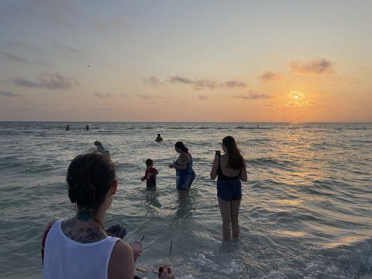 Fort desoto beach