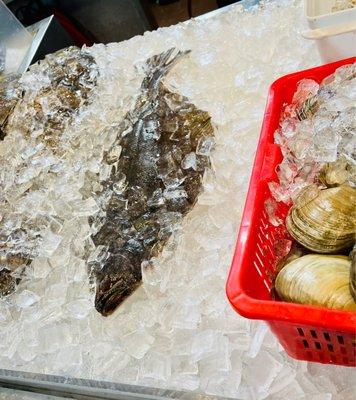 Winter flounder. On the right clams