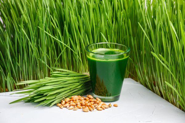 Organic, cold-pressed Wheatgrass Juice