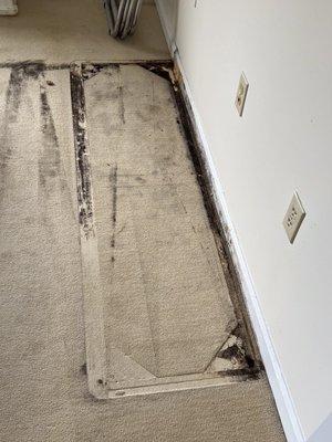 This the black mold we found my Mother had in her bedroom that ruined her furniture and put her at risk.