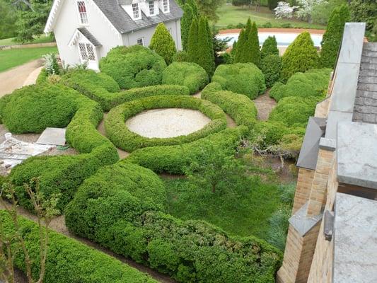 Boxwood Specialist