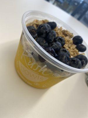 Oasis Bowl minus the fro-yo with blueberries and honey toppers