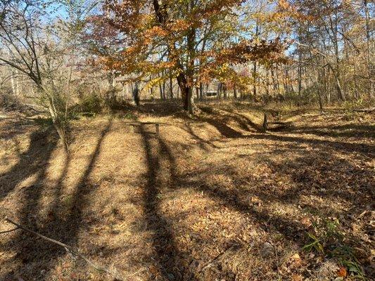 Brush and land clean up