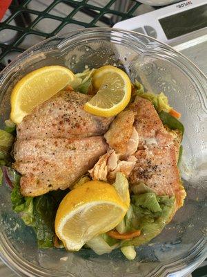 Salmon Salad