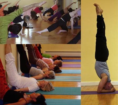 Gentle, Challenging and Restorative classes for all levels of students.