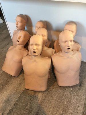 prestan manikins