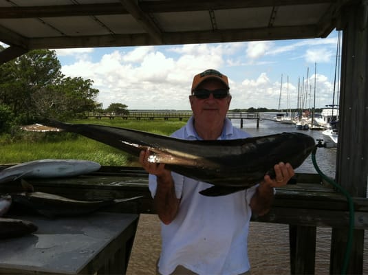 Cobia 30 lbs